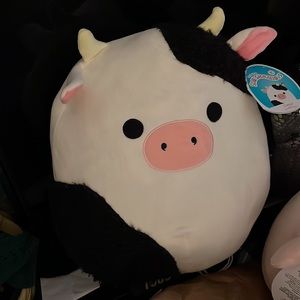 Fuzzy connor the cow squishmallow 16”